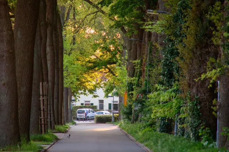 Once a Lane Buyer, Always a Lane Buyer: The Resale Loyalty That Defines Quiet Address Markets