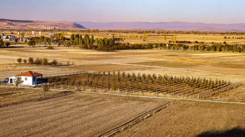Where Your Land Ends and Your Wealth Begins: The Financial and Lifestyle Power of Defined Property Boundaries