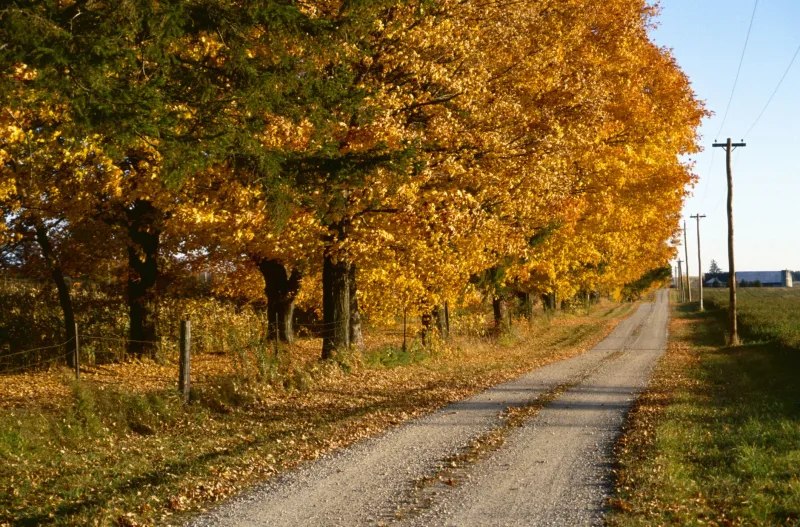The Quiet Road Ahead: Why Lane-Front and Rural Properties Are Becoming America's Most Coveted Real Estate