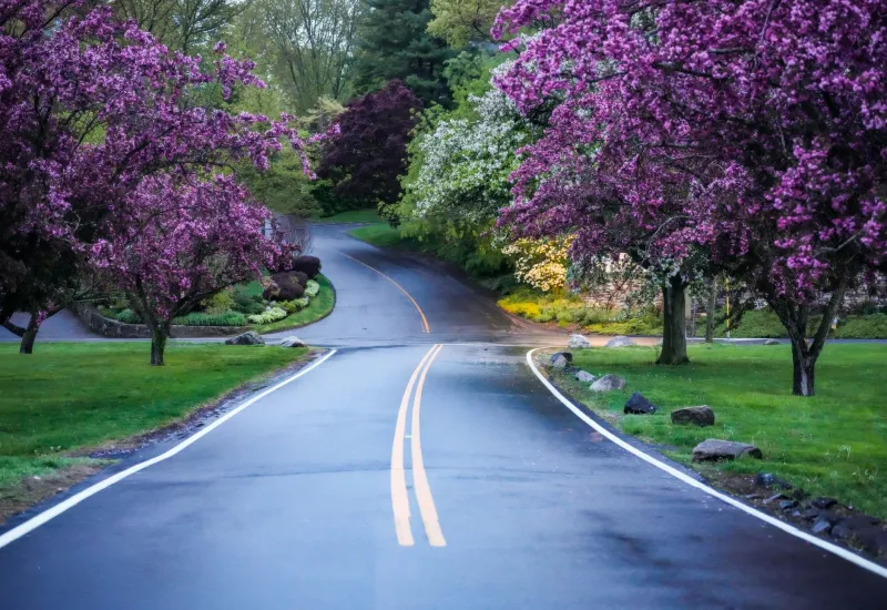 Timing the Market by the Calendar: How Lane Properties Shift in Character—and Value—Across Every Season